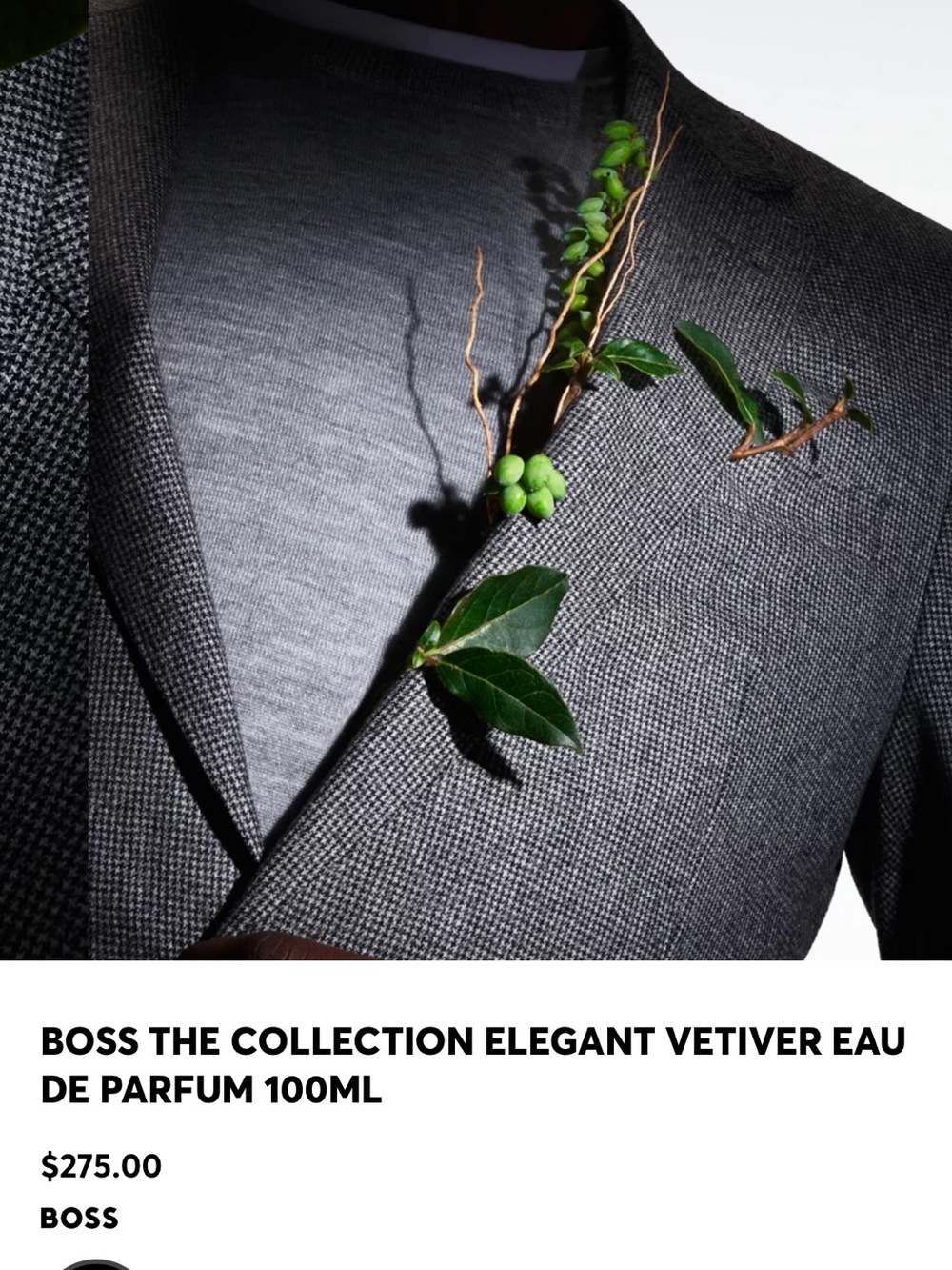 Boss The Collection Elegant Vetiver 100 ml 3.3 Fl Oz - Picture 2 of 4